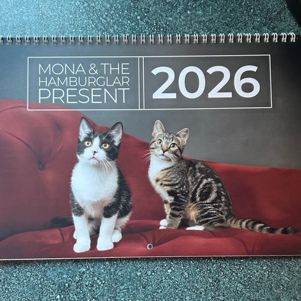Cat Calendar 2026 NEW